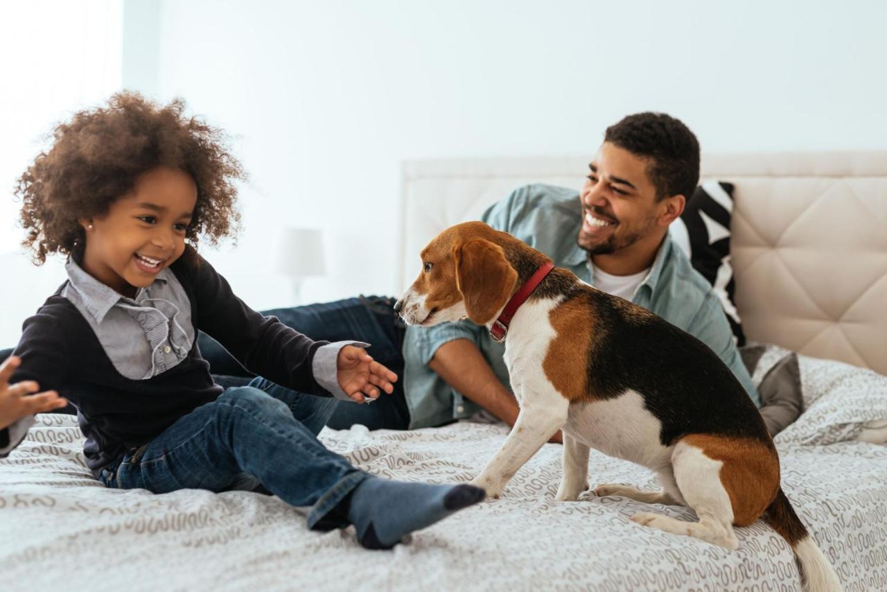 La Clef Champs-Elysees Paris By The Crest Collection Exteriér fotografie A family with a dog